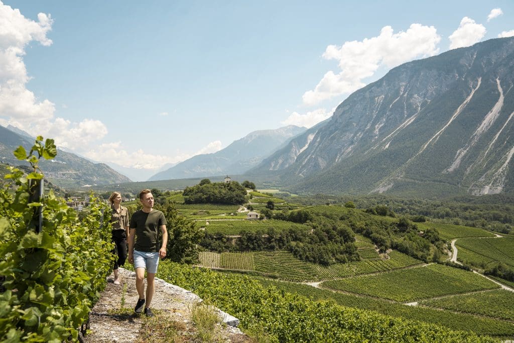 Ein Paar wandert durch die Weinberge des Walliser Weinwegs