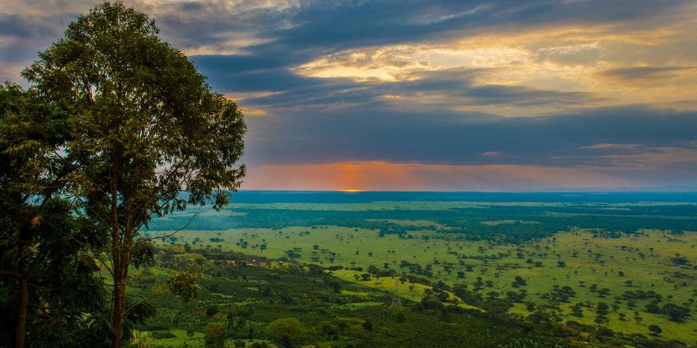 Die Landschaft der afrikanischen Savanne in der Abenddämmerung.