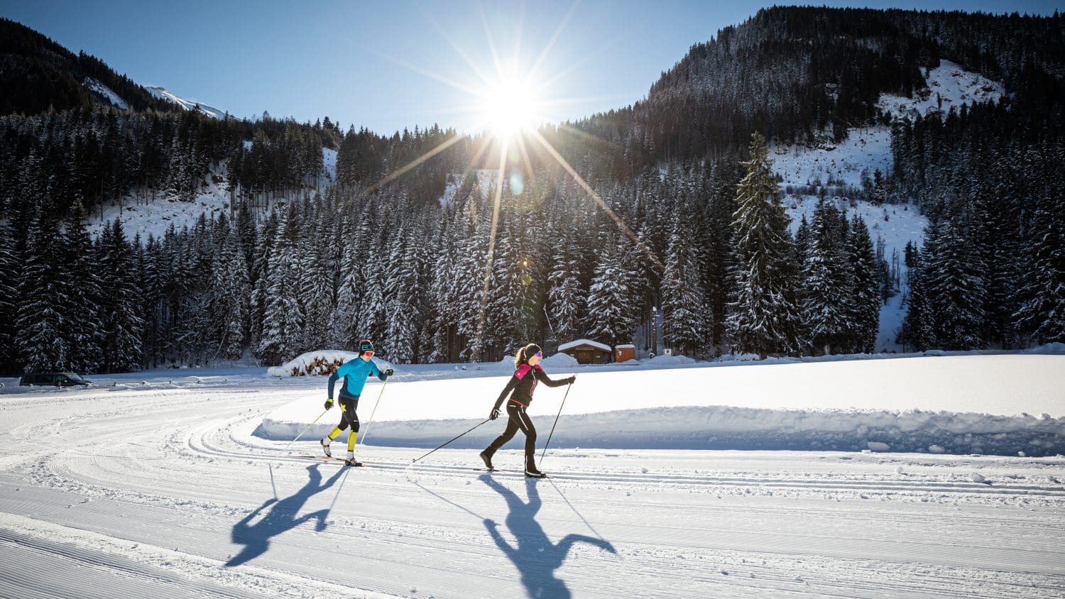 Zwei Langläufer auf ebener Piste vor verschneitem Nadelwald und tiefstehender Sonne