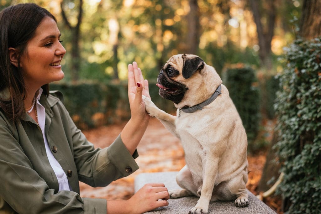 Mops und Frauchen geben sich High-Five im Sinne der Überwindung des inneren Schweinehundes in Richtung der Selbstmotivation. Im Hintergrund sieht man einen Wald.