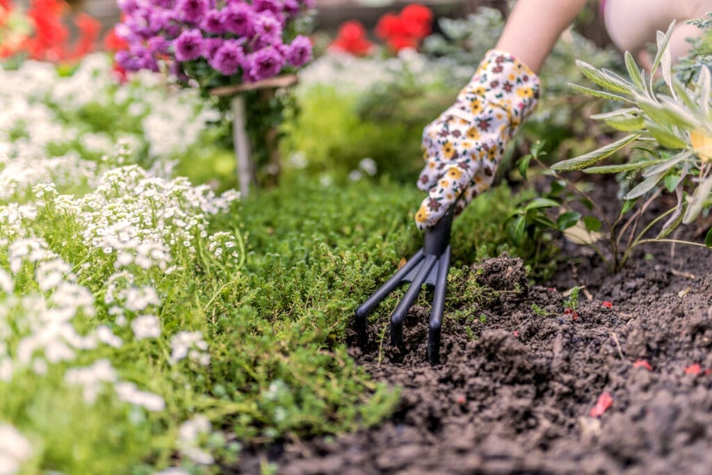 Gartenkalender: Blumen und Kräuter werden mit buntem Handschuh und Kultivator gepflanzt.