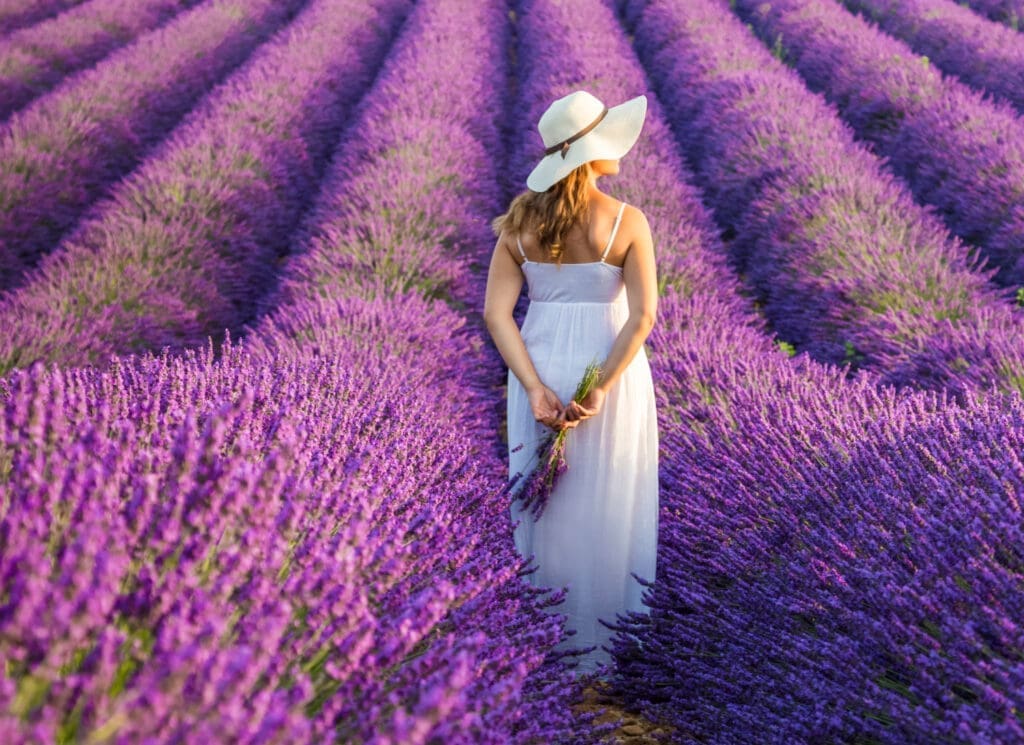 Frau mit einem weißen Kleid und Hut in einem Lavendelfeld in der Provence