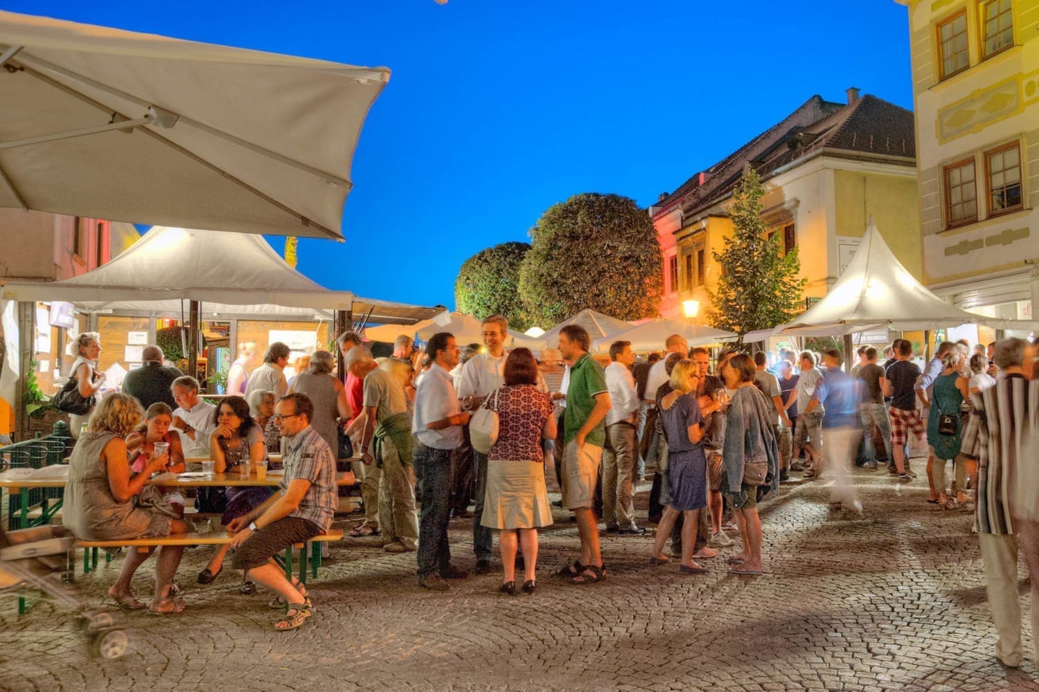 Besucher der Wein & Genusstage Eisenstadt