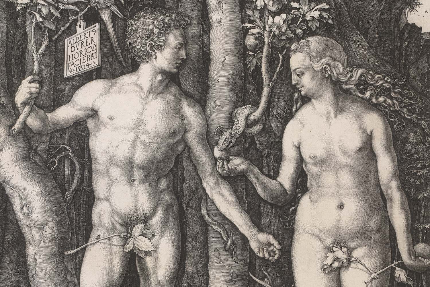 Der Kupferstich „Adam und Eva“ von Albrecht Dürer aus dem Jahre 1504 in der Ausstellung „Michelangelo und die Folgen“ © ALBERTINA, Wien