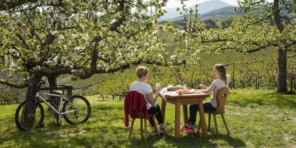 Zwei Frauen an einem gedeckten Holztisch auf einer Wiese in der Landschaft