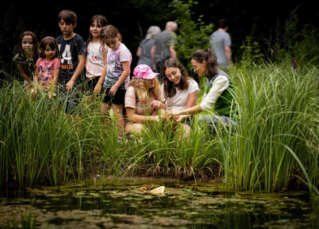 Kinder vor einem Teich im Nationalpark Donau-Auen