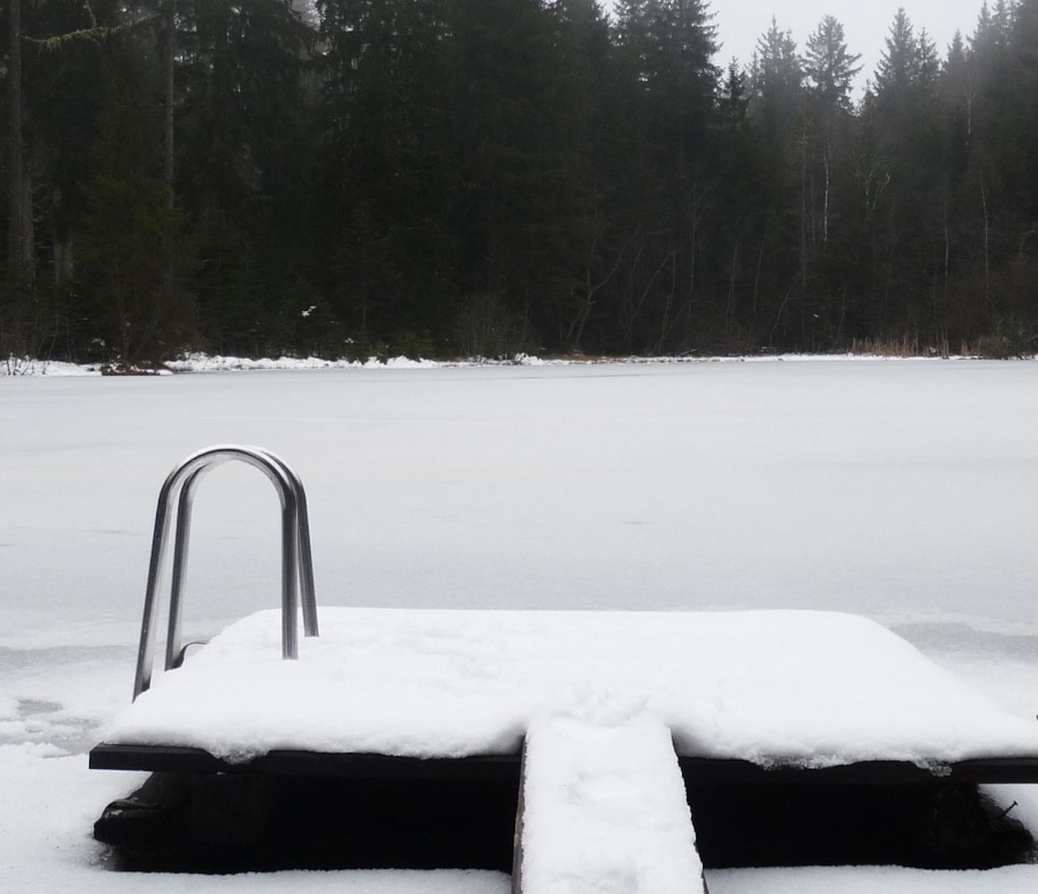 Eisbaden, Steg, Schnee, Bäume, Winter.