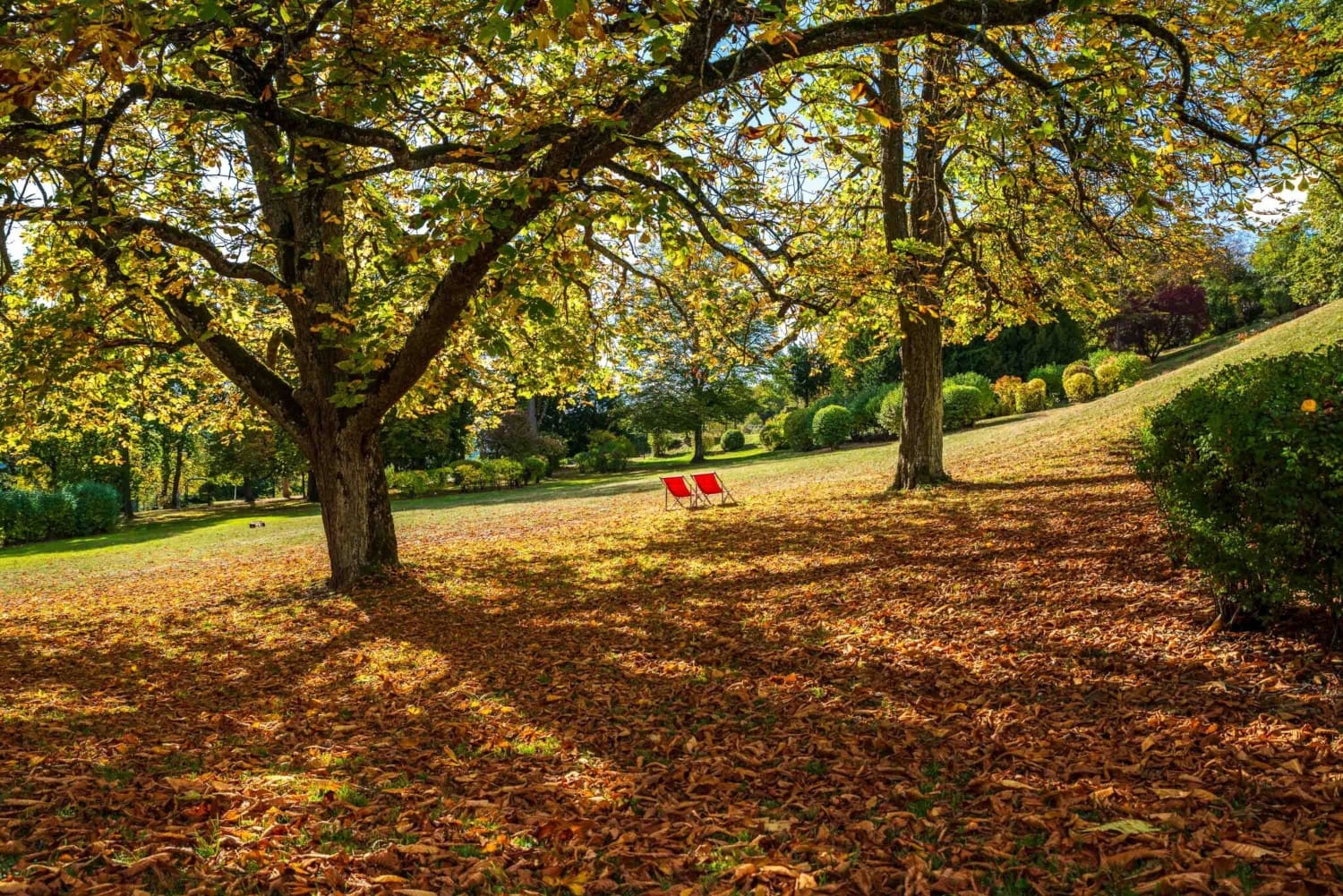 Garten mit zwei roten Liegestühlen im goldenen Herbstlicht