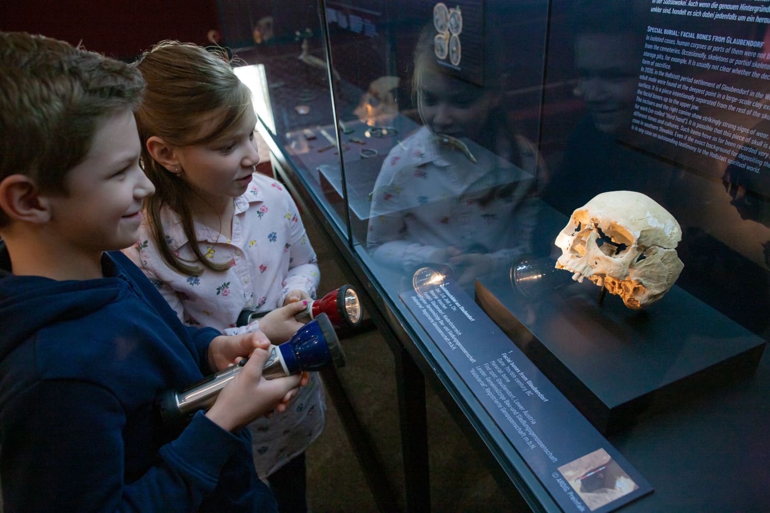 Kinder erkunden das Mamuz Museum Mistelbach bei "Nachts im Museum" mit Tschenlampen.