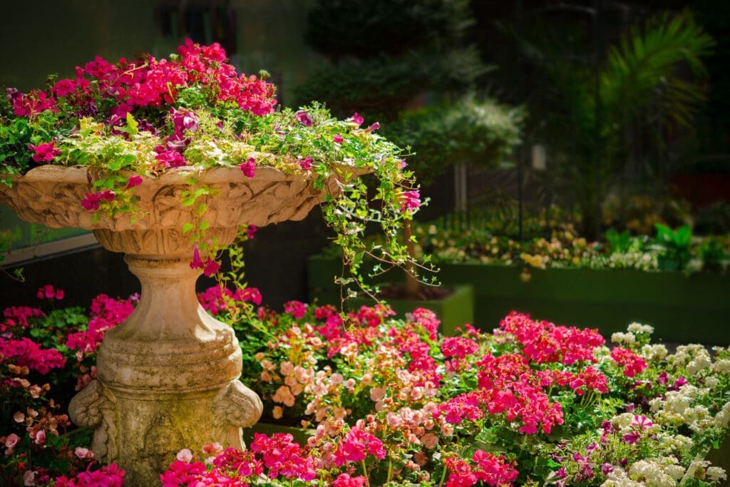 Blumengarten mit rosa Blumen in einem Steintopf