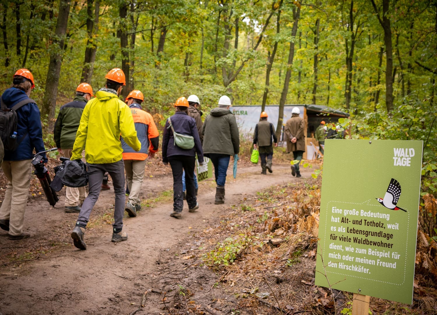 Personengruppe mit Helmen spaziert durch den Wald