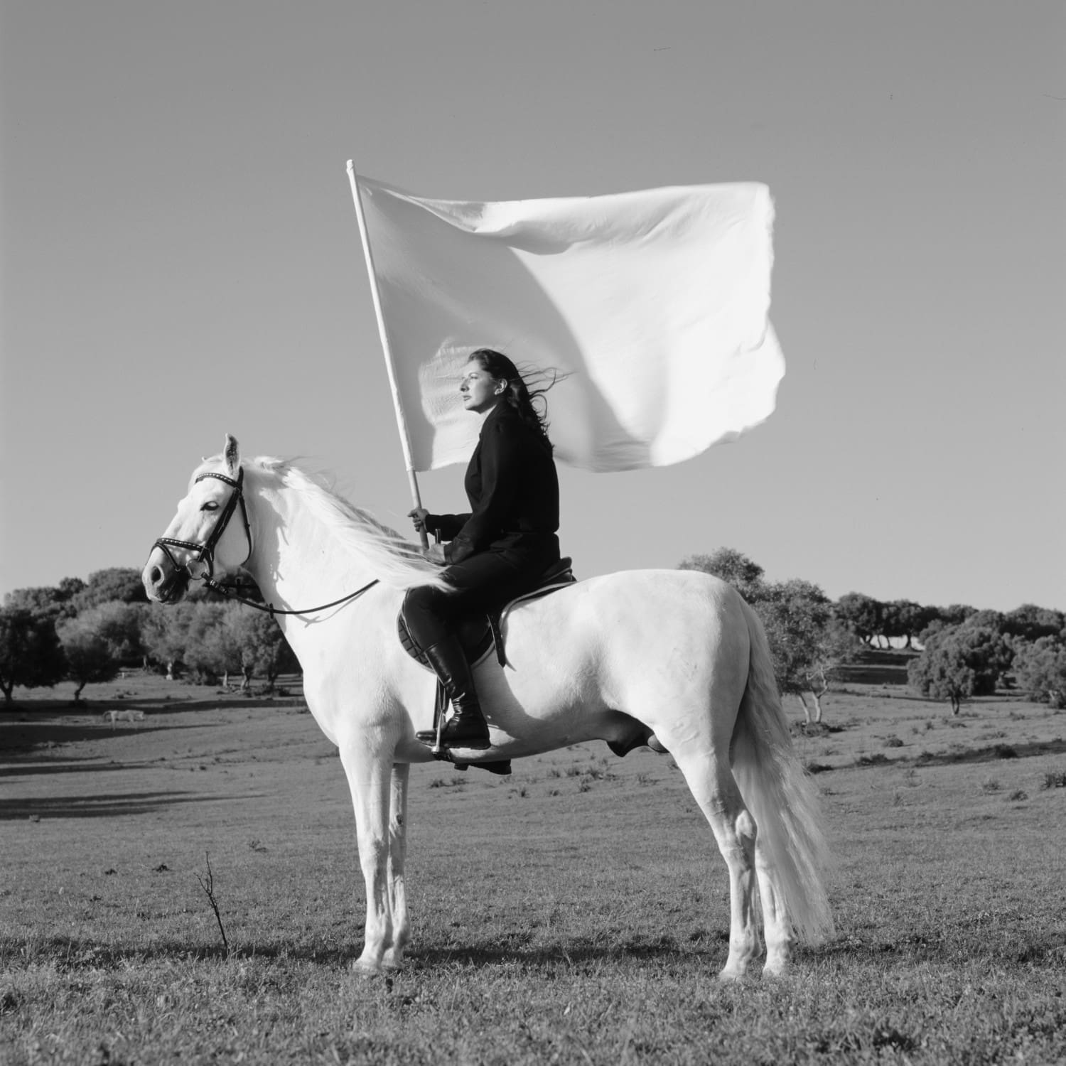 Marina Abramović The Hero, 2001 Courtesy of the Marina Abramović Archives, and Galeria Luciana Brito © Marina Abramović. Image courtesy of Marina Abramović Archives