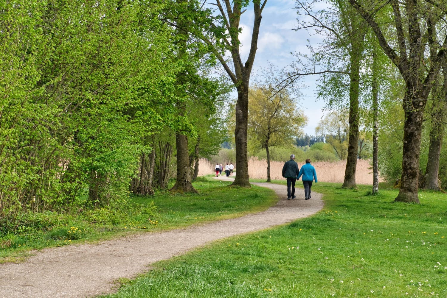 Personen spazieren einen Waldweg entlang