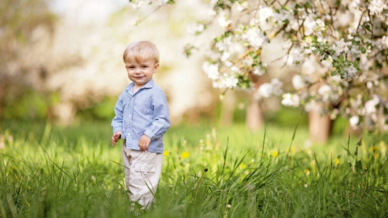 Kleiner Junge steht auf Wiese, daneben ein blühender Apfelbaum