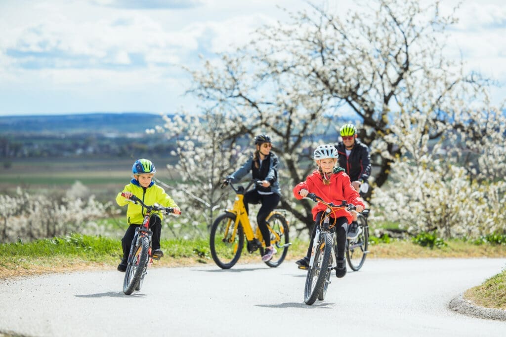 Kirschblütenradweg im Burgenland. Familie beim Radeln.