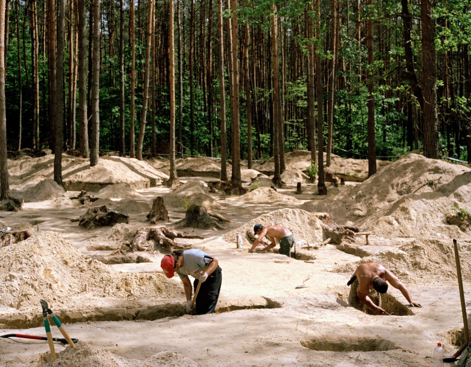 Archaeologische Ausgrabunge vor einem Wald