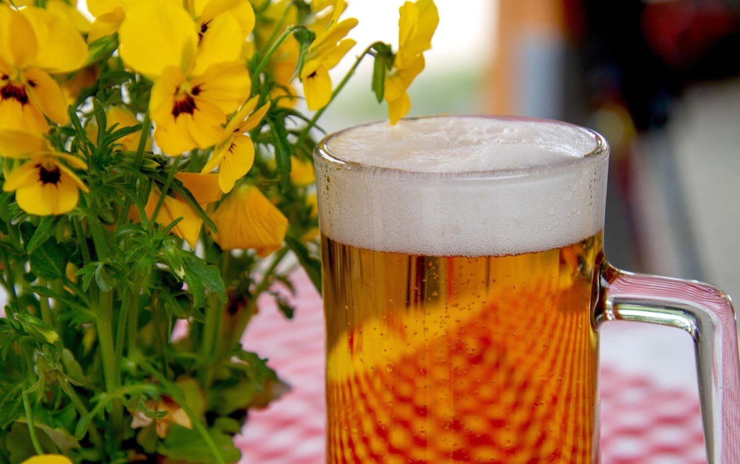 Bierglas neben gelben Blumen auf kariertem Tischtuch