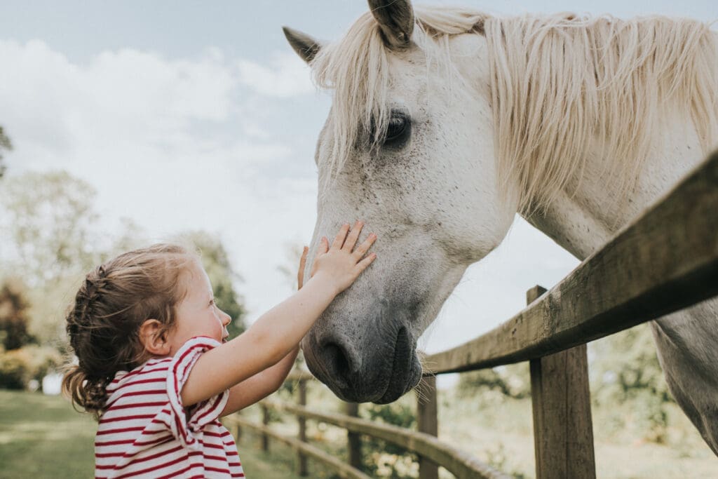 Mädchen mit braunen Haaren und Zopf in gestreiftem T-Shirt mit kurzen Ärmeln streichelt die Nüstern eines Schimmels hinter einem Holzzaun. Im Hintergrund sieht man verschwommen Bäume bei der tiergestützten Therapie.