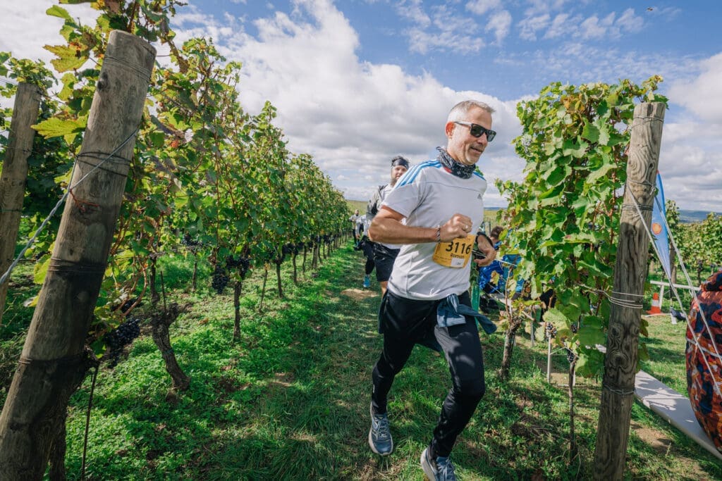 Läufer im Weingarten beim Blaufränkischland Marathon