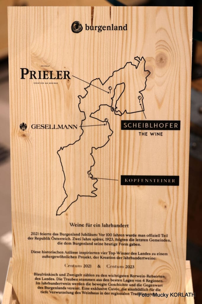 CENTUM - Wein Präsentation (12)