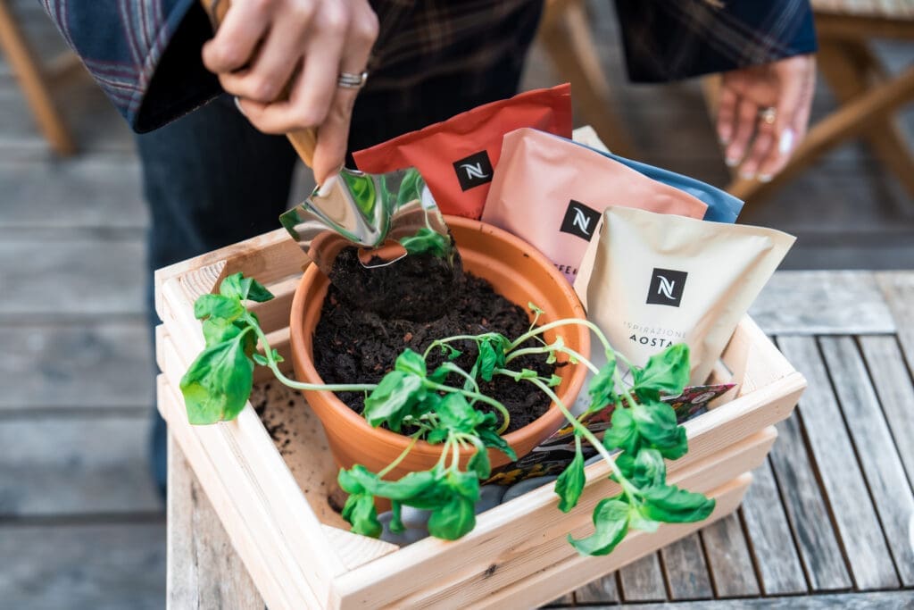 Pflanze mit Nespresso Kapseln daneben